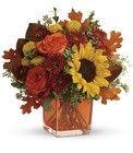 Autumn Sunshine Cube from Olney's Flowers of Rome in Rome, NY